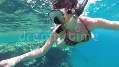 <strong>红海</strong>珊瑚礁附近的小女子，戴着捕蛇面具，在<strong>红海</strong>游泳